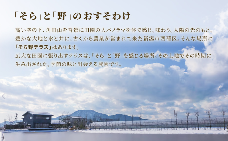 特別栽培米コシヒカリ 寿々喜米 5kg（精米）