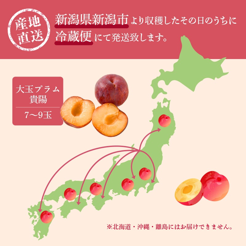 プラム（貴陽）