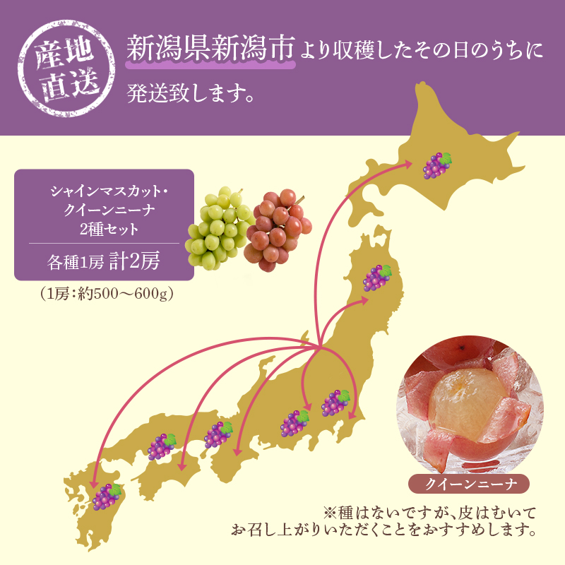 2種詰め合わせ（シャインマスカット、クインニーナ）