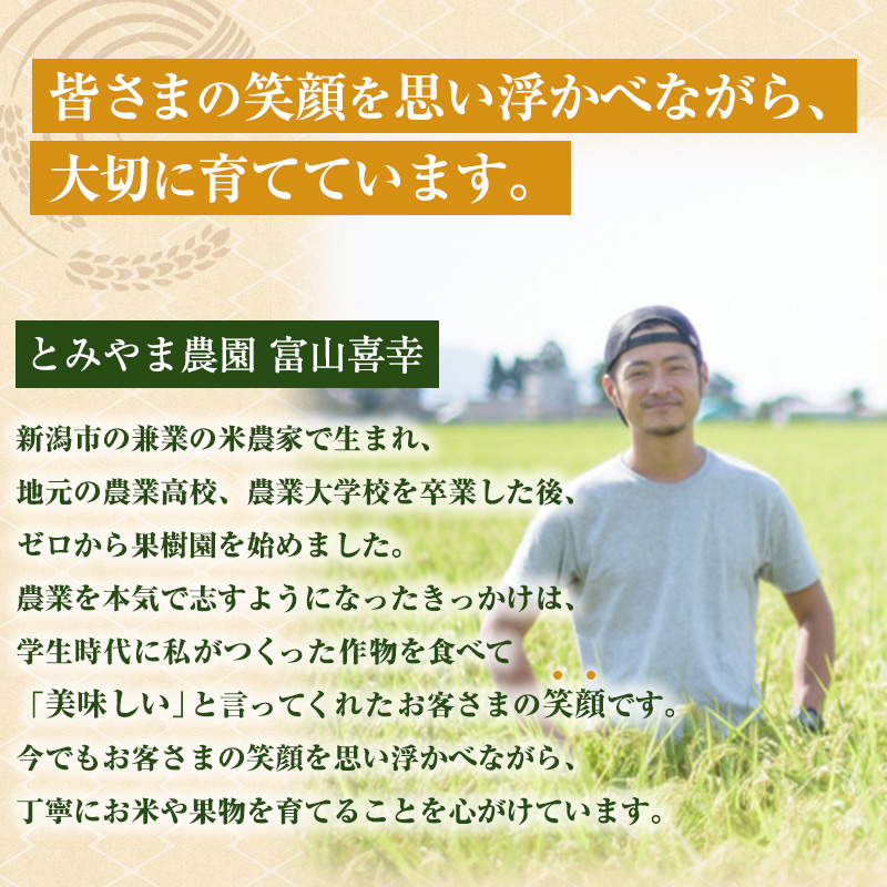 こしひかり 精米 5kg 新潟産 コシヒカリ 米 お米 こめ コメ 白米 産地直送 新潟県産 新潟県 新潟