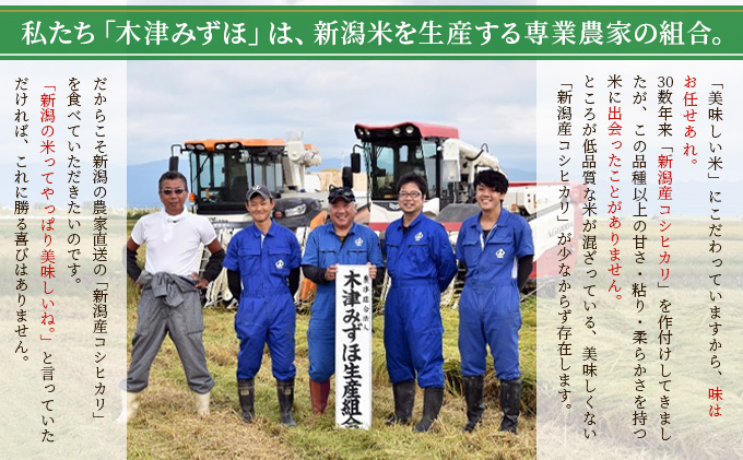 新潟産コシヒカリ精米30kg真空パック（5kg×6袋） 米 コメ こ