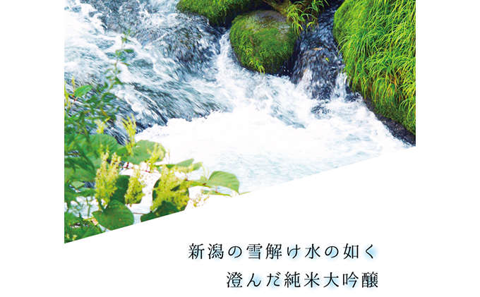 純米大吟醸酒【越乃雫】720ml