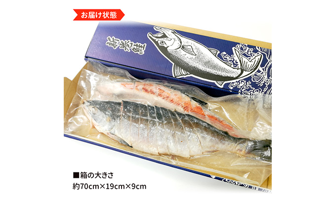 新巻鮭姿切り 1尾