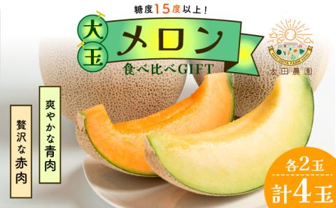 太田農園メロン“GIFT”赤肉メロン＆青肉メロンセット（各2玉ずつ） 2025年 先行予約 メロン セット 糖度 赤肉 青肉 高級 果物 フルーツ おやつ デザート 新潟 夏フルーツ