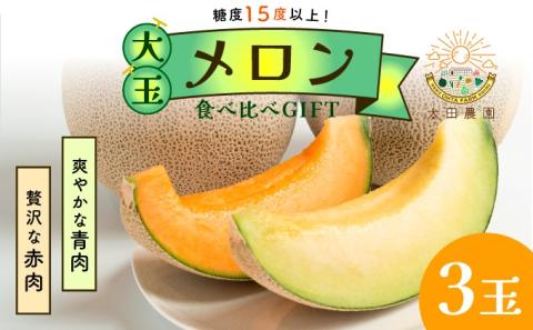 太田農園メロン“GIFT”赤肉メロン＆青肉メロンセット（合計3玉） 2025年 先行予約 メロン セット 糖度 赤肉 青肉 高級 果物 フルーツ おやつ デザート 新潟 夏フルーツ