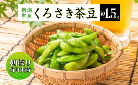 【先行予約】枝豆 くろさき 茶豆 1.5kg (8月中旬発送開始) えだまめ 朝採り 新鮮 豆 野菜 冷蔵 産地直送 新潟茶豆 ビール 晩酌 おつまみ 新潟