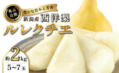 洋梨 ルレクチエ 西洋なし 約 2kg 秀品 5～7玉 梨 ルクレチェ