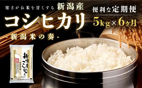 【定期便】新潟産コシヒカリ5kg×6回 6ヶ月