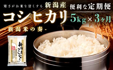 【定期便】新潟産コシヒカリ5kg×3回 3ヶ月
