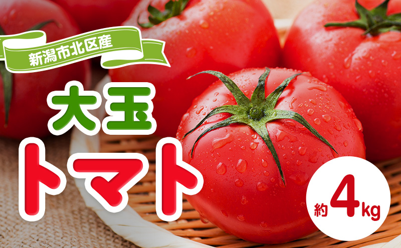 トマト 大玉系 約4kg  23～24玉 （ にごりかわトマト または 豊栄トマト） とまと 野菜 新鮮 産地直送 新潟県産 新潟市産 期間限定