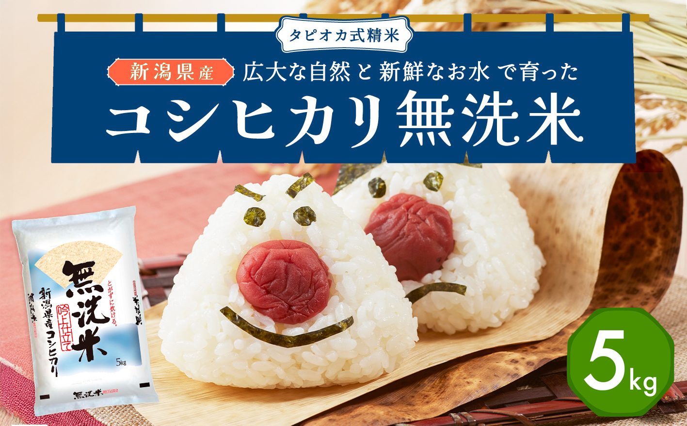 無洗米新潟産コシヒカリセット 5kg 産地直送