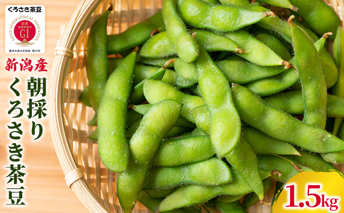 朝採り・新鮮・直送　くろさき茶豆1.5kg『7月下旬～順次発送』朝採りくろさき茶豆1.5kg