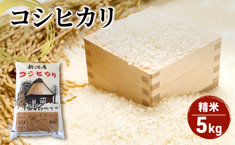【令和７年産】新潟産 コシヒカリ精米5kg「従来品種」 お米 ご飯 食卓 主食 おにぎり お弁当 国産 日本産 ブランド米
