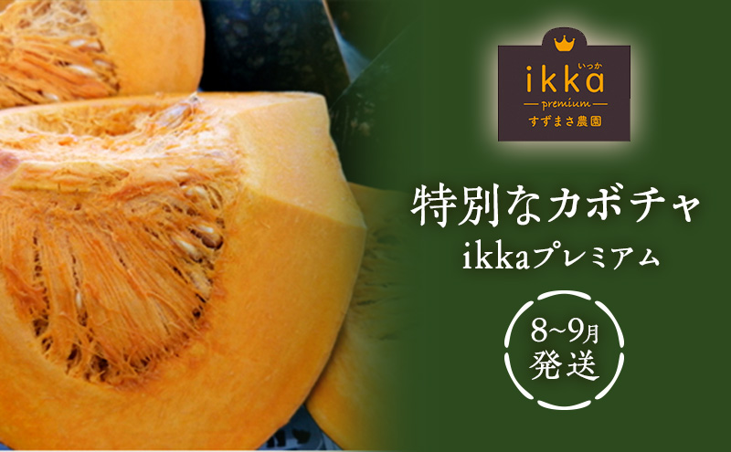 特別なカボチャ ikkaプレミアム【8月-9月発送】