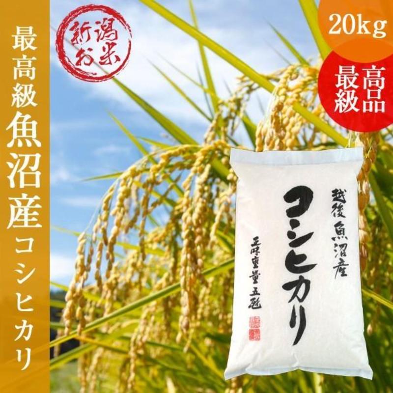 令和7年産 新潟コシヒカリ20kg(5kg×4) こしひかり 精米