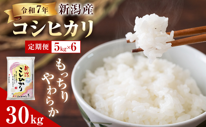 R7年産米【定期便】新潟産コシヒカリ5kg×6回