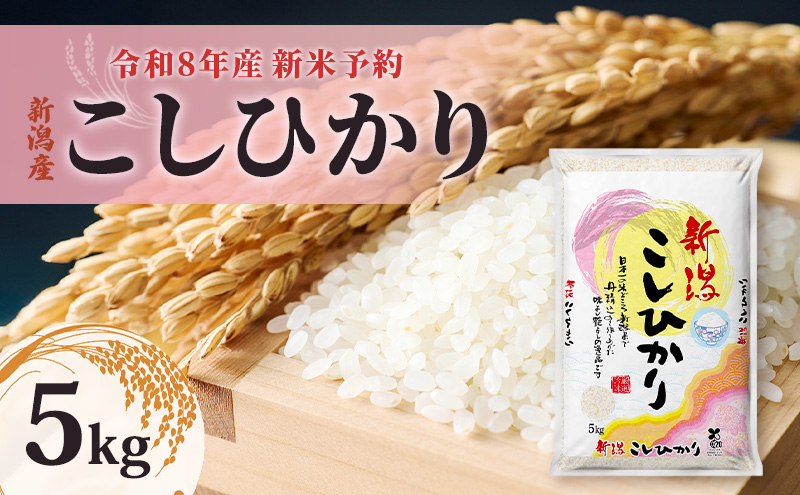 【先行予約】令和8年産新米予約新潟産コシヒカリ5kg　米 精米 こしひかり お取り寄せ 新潟県 新潟市