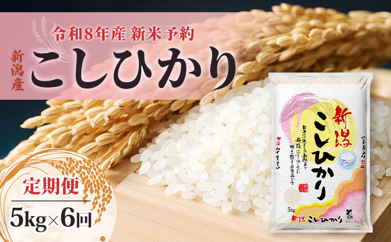 【先行予約】令和8年産新米予約【定期便】新潟産コシヒカリ5kg×6回　米 精米 こしひかり お取り寄せ 新潟県 新潟市
