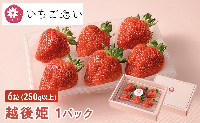 きっと想いが伝わるいちご　越後姫 1パック 果物 フルーツ 食後 デザート 旬の果物 旬のフルーツ ストロベリー 国産 日本産