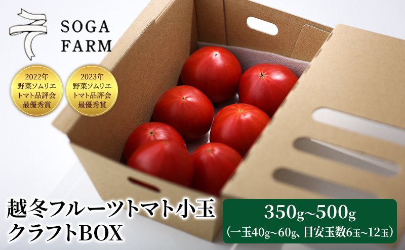 2024年6月発送】SOGA FARM 越冬フルーツトマト小玉 クラフトBOX: 新潟市ANAのふるさと納税