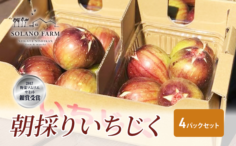 そら野テラスの朝採りいちじく 4パックセット