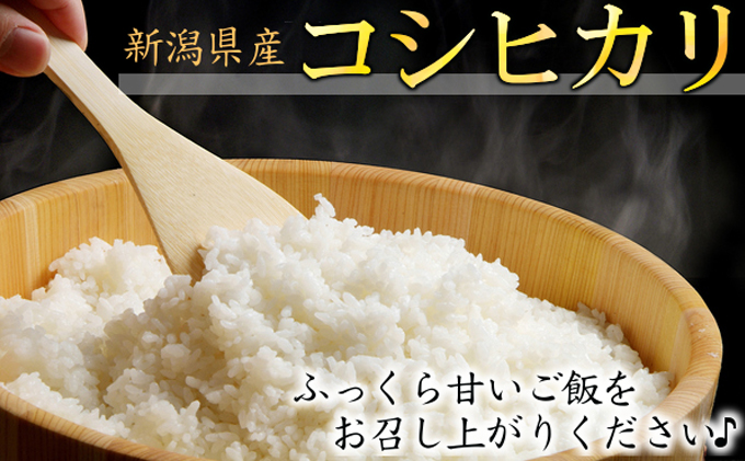 カガヤキ農園　特別栽培米コシヒカリ10kg