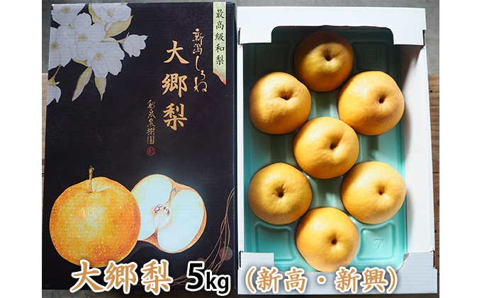 大郷梨 5kg（新高・新興）