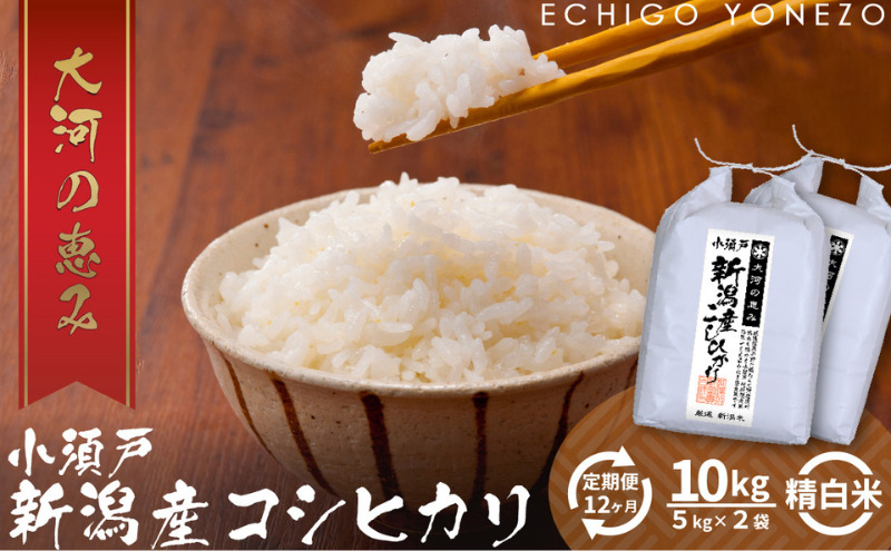 【定期便12ヶ月】新潟市 秋葉区小須戸産コシヒカリ 白米 10kg