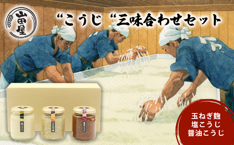 “こうじ“三味合わせセット 調味料 料理 調理 味付け 和食 日本食 玉ねぎ麹 醤油こうじ 塩こうじ