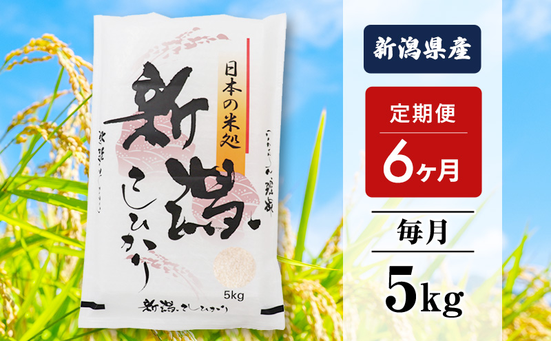 [ふるさと納税]米 6ヶ月定期便 令和5年産 新潟 コシヒカリ 5kg 白米 精米 精米仕立てを発送致します