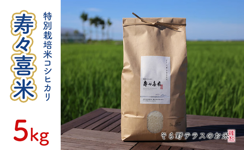 特別栽培米コシヒカリ 寿々喜米 5kg(精米)