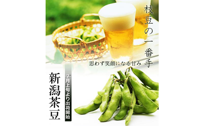 新潟県黒埼産 新潟茶豆1.5kg