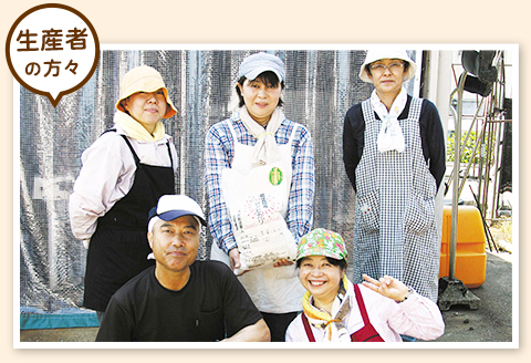 E1-G101A新潟県長岡産コシヒカリ玄米10kg