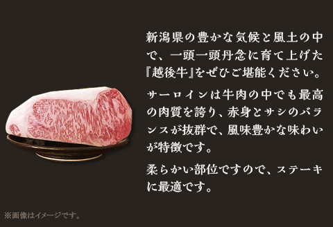 63-42B新潟県産 越後牛サーロインブロック1kg