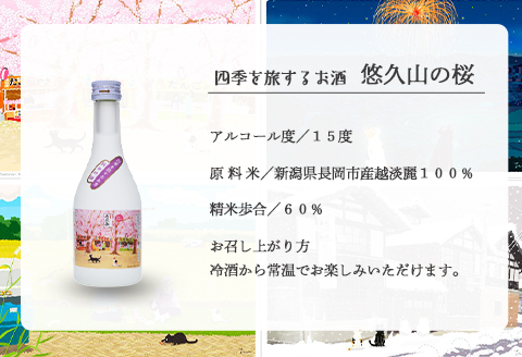 C0-07A越後雪紅梅 四季を旅するお酒 春夏秋冬セット300ml×4本【長谷川酒造】