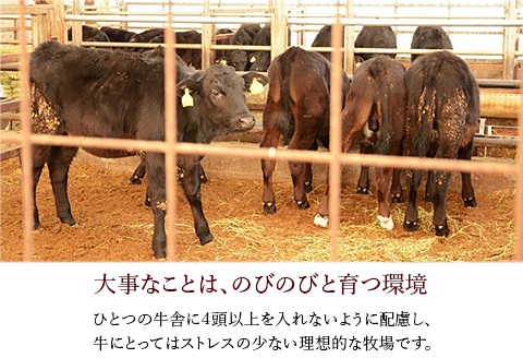 76-56A【訳あり】新潟県産牛（長岡産）ランプステーキ2枚（計300g）