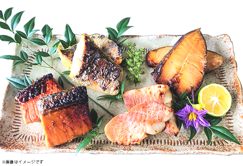 H7-96【訳あり】味付色々漬魚詰め合わせセット 厳選12切