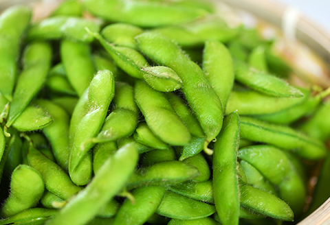 75E-16新潟県長岡産枝豆2.0kg【新潟甘茶豆250g×8袋入り】