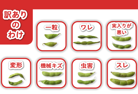 75E-B5A【訳あり】新潟長岡産枝豆長岡茶豆5.0kg【B品】