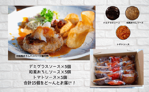 76-97B湯せんで簡単！煮込みハンバーグ食べ比べセット 3種2.5kg以上（170g×15個）