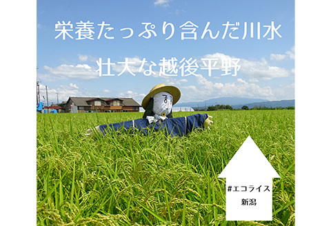67-02中越地震・東日本大震災の被災体験から生まれた非常食セット(勝太のわかめご飯10ｐ＆はんぶん米10ｐ）