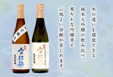 M8-01A越後雪紅梅 純米大吟醸セット 720ml×2本