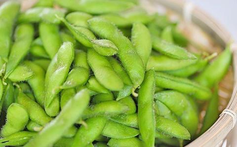 75E-19新潟県長岡産枝豆2.0kg【肴豆250g×8袋入り】