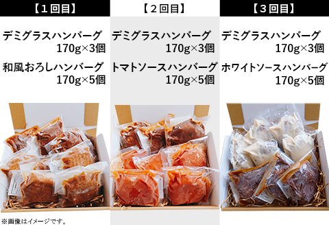 76-98B【3ヶ月連続お届け】湯せんで簡単！煮込みハンバーグ食べ比べセット 8個×3回お届け 総重量4kg以上！