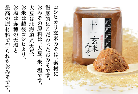 81-11【隔月6回お届け】コシヒカリ玄米みそ　1kg×2個