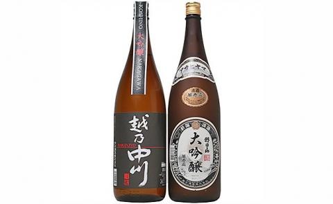 C1-A9A大吟醸飲み比べセット（1800ml×2本）