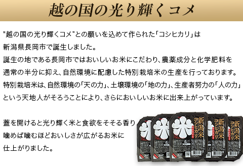 75-PG24D新潟県長岡産コシヒカリ パックご飯150g×24個（特別栽培米）