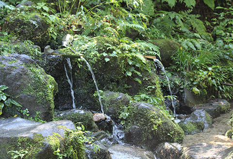 43-03杜々の妖精コシヒカリ6kg（2kg×3袋）全国名水百選栃尾産