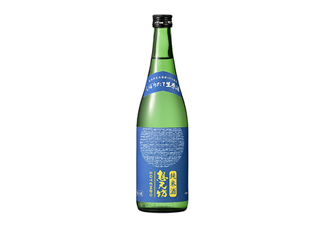 H4-50B想天坊 純米しぼりたて生原酒 720ml×２本【河忠酒造】（2025年11月下旬以降発送）