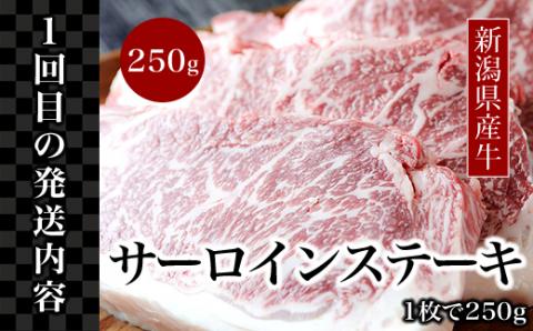 76-77A【3ヶ月連続お届け】【訳あり】迷ったらこれ！豪華！！ステーキ定期便